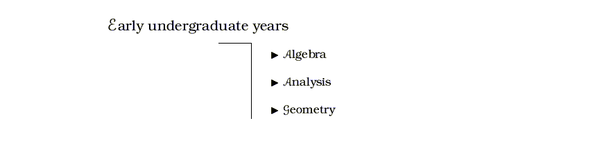 early undergraduate years